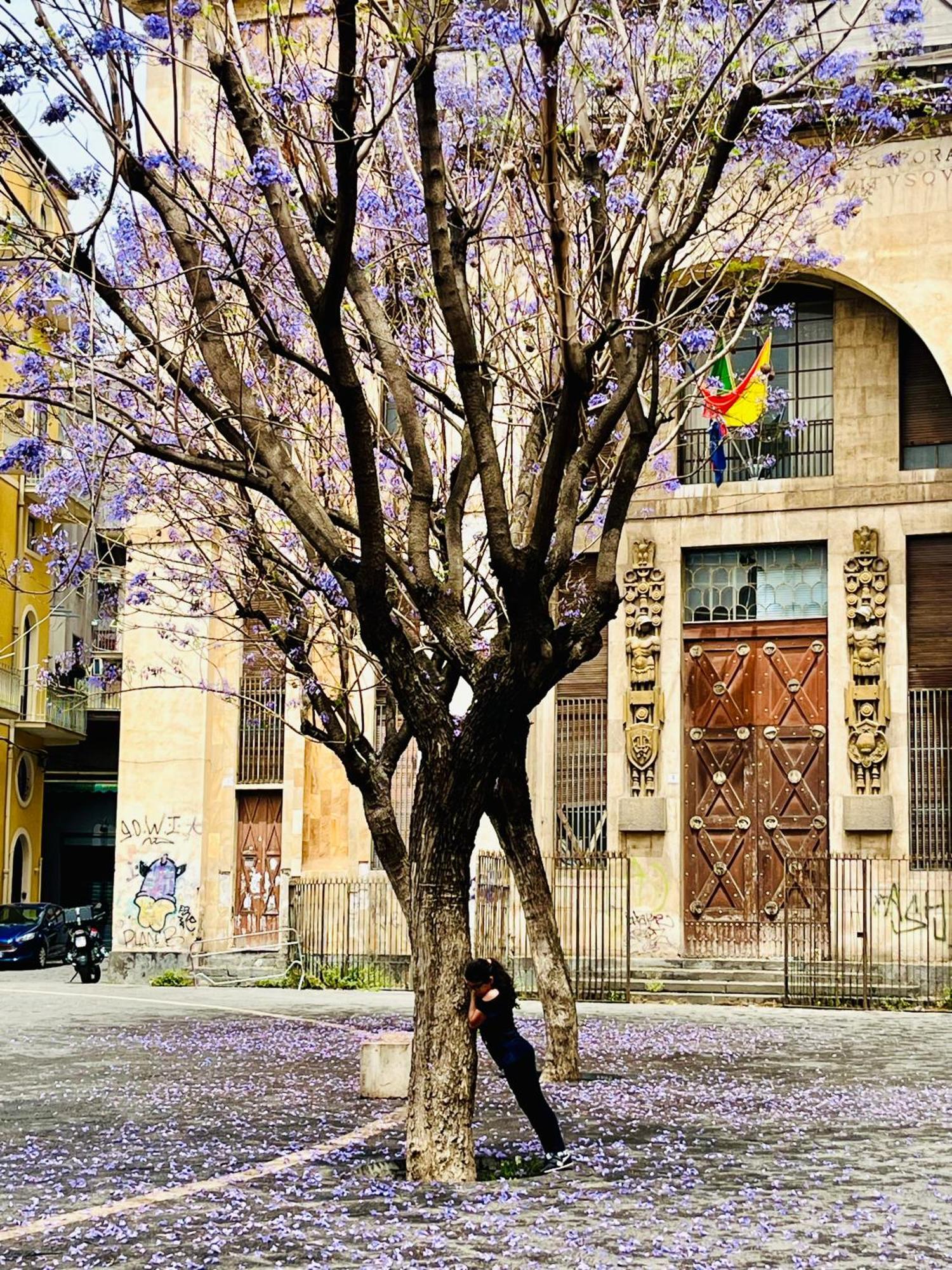 Happy Home Catane Extérieur photo